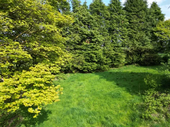 Photo of Gort, Milestone, Thurles, Co. Tipperary, E41 XR76