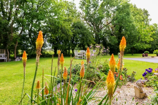 Photo of Aucloggeen, Claregalway, Co. Galway, H91 E5X7