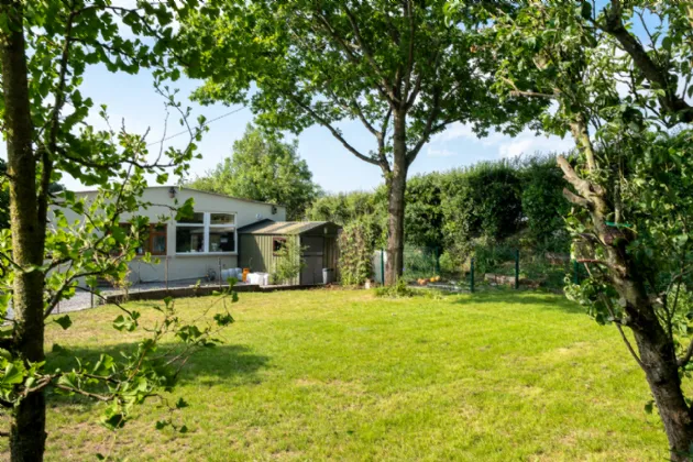 Photo of Glasshouse, Blueball, Tullamore, Co Offaly, R35XD50