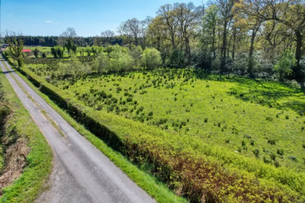 Photo of Curryline, Newtownforbes, Co. Longford