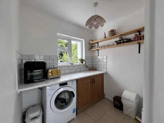 Photo of Thomastown Demesne, Golden, Co Tipperary, E25V008