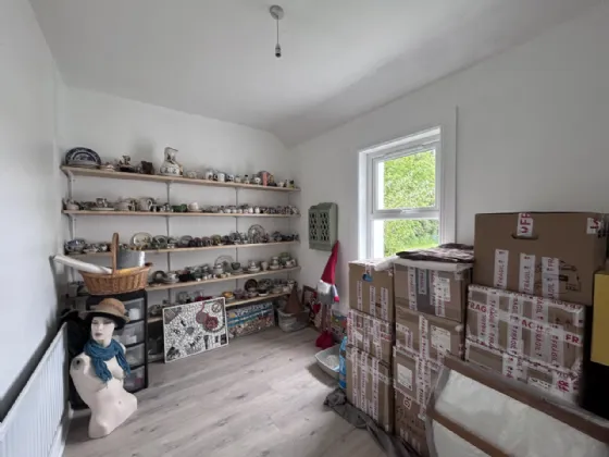 Photo of Thomastown Demesne, Golden, Co Tipperary, E25V008