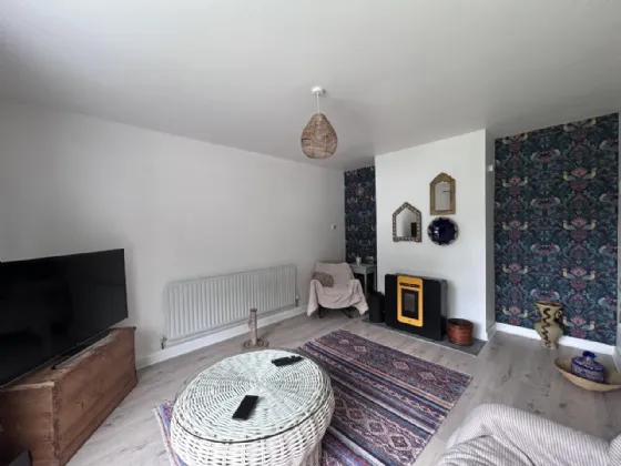 Photo of Thomastown Demesne, Golden, Co Tipperary, E25V008