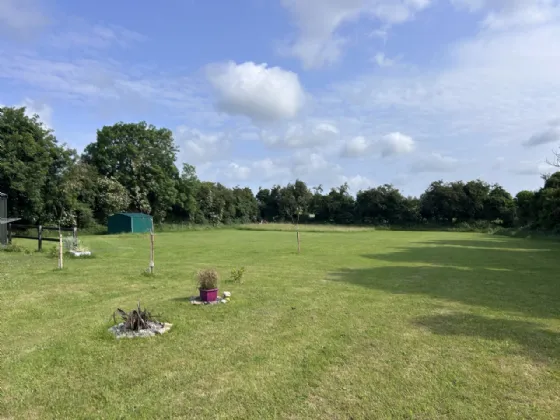 Photo of Thomastown Demesne, Golden, Co Tipperary, E25V008