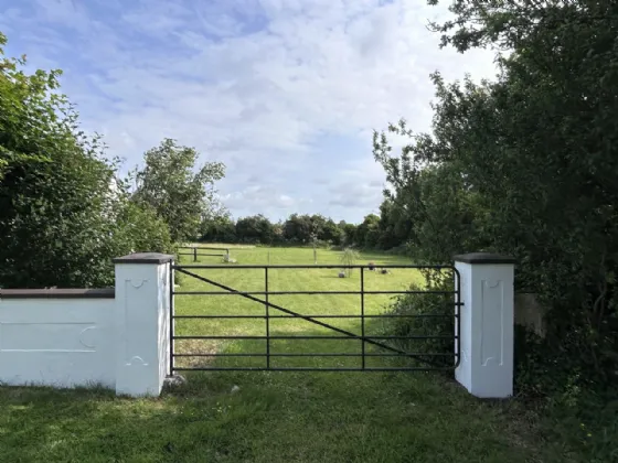 Photo of Thomastown Demesne, Golden, Co Tipperary, E25V008