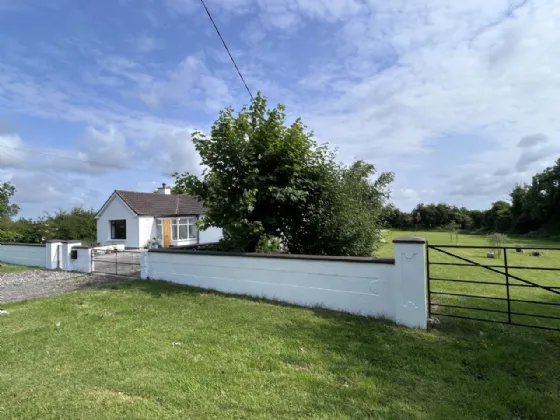 Photo of Thomastown Demesne, Golden, Co Tipperary, E25V008