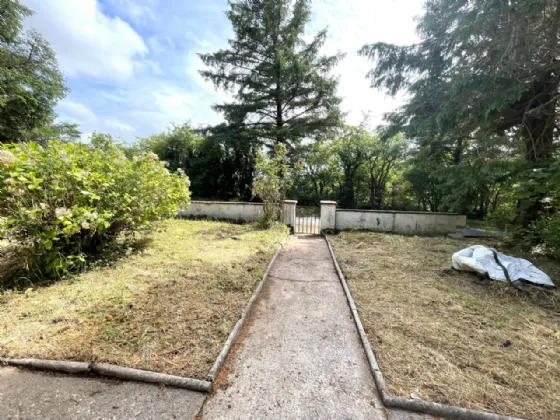 Photo of Roe, Kilmeena, Westport, Co Mayo, F28 CD71