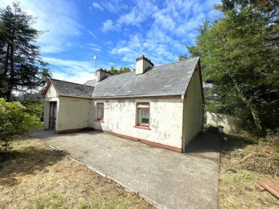 Photo of Roe, Kilmeena, Westport, Co Mayo, F28 CD71