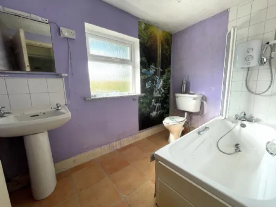 Photo of Roe, Kilmeena, Westport, Co Mayo, F28 CD71