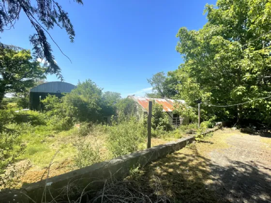 Photo of Roe, Kilmeena, Westport, Co Mayo, F28 CD71