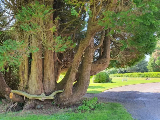 Photo of Assolas House, Kanturk, County Cork, P51 T954