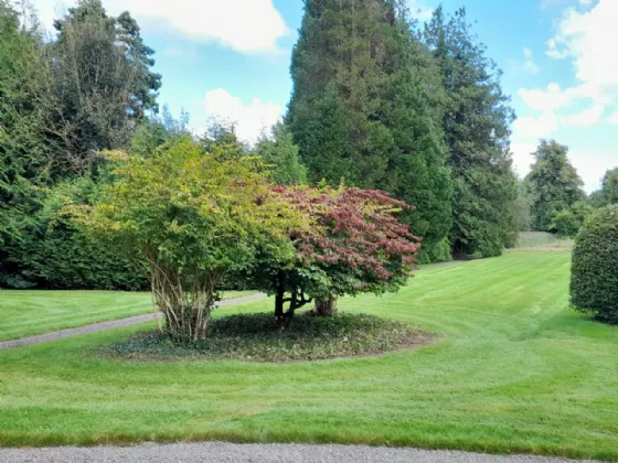 Photo of Assolas House, Kanturk, County Cork, P51 T954