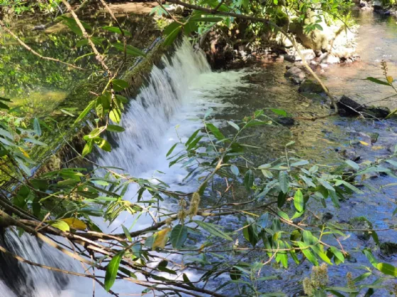 Photo of Assolas House, Kanturk, County Cork, P51 T954