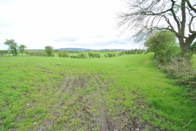 Photo of Approx. 3.22 Hectares/ 7.96 Acresan, Golden Grove Road, Roscrea, Co Tipperary