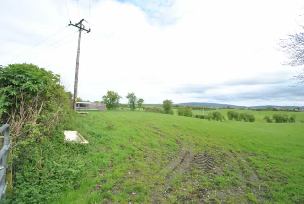 Photo of Approx. 3.22 Hectares/ 7.96 Acresan, Golden Grove Road, Roscrea, Co Tipperary