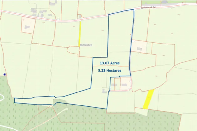 Photo of Lands 13.07 Acres, Coolnamuck, Carrick-On-Suir, Co. Tipperary