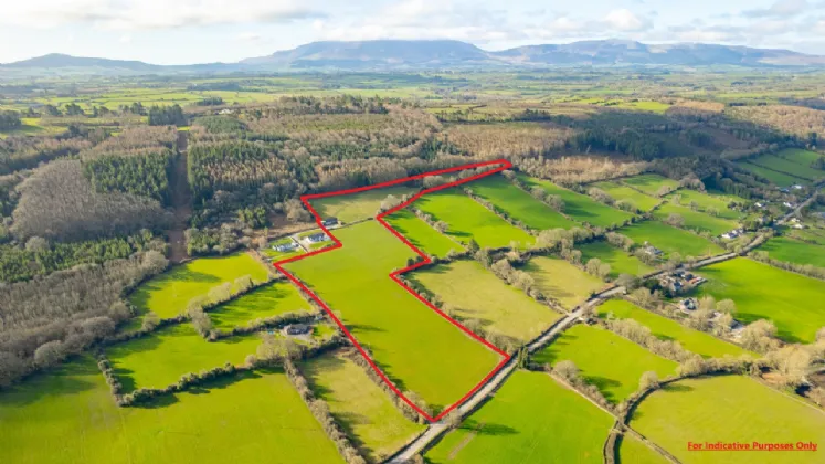 Photo of Lands 13.07 Acres, Coolnamuck, Carrick-On-Suir, Co. Tipperary