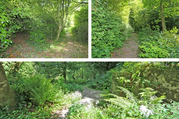 Photo of Deerpark, Sixmilebridge, Co. Clare, V95E095