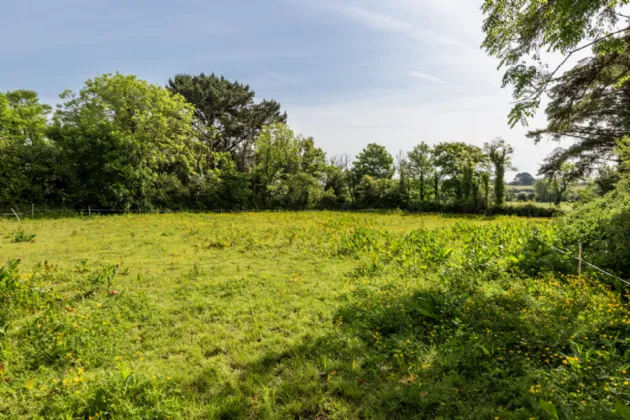 Photo of The Bog, Battlestown, Ramsgrange, Co. Wexford, Y34 NH74