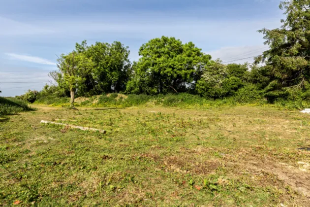 Photo of The Bog, Battlestown, Ramsgrange, Co. Wexford, Y34 NH74