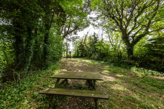 Photo of The Bog, Battlestown, Ramsgrange, Co. Wexford, Y34 NH74