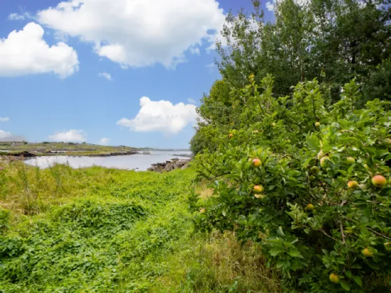 Photo of Bealadangan, Connemara, Co.Galway, H91 H1XK