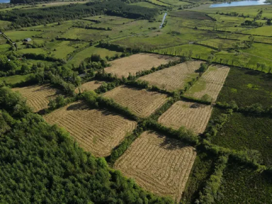 Photo of Canbo, Croghan, Carrick-On-Shannon, Co. Roscommon