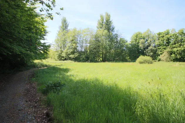 Photo of The Gate Lodge, Lough Rynn, Mohill, Co. Leitrim, N41 DH72