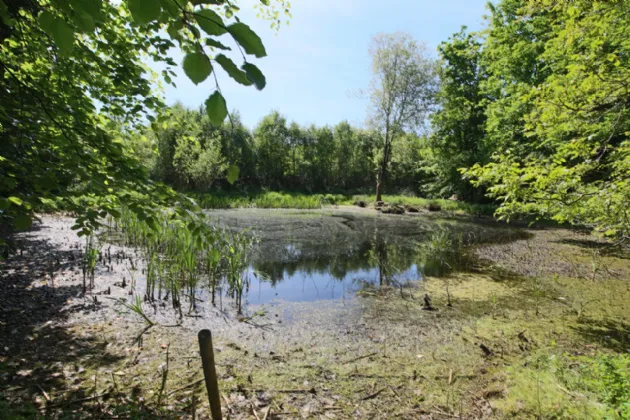 Photo of The Gate Lodge, Lough Rynn, Mohill, Co. Leitrim, N41 DH72