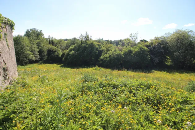 Photo of Drumbreanlis, Carrigallen, Co. Leitrim