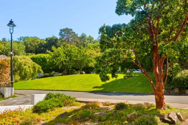 Photo of 11 Mount Auburn, Killiney, Co Dublin, A96N5F7