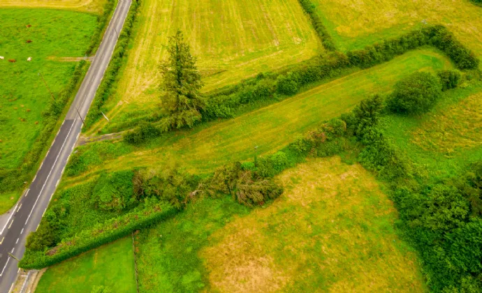 Photo of Scramoge, Roscommon, Co. Roscommon