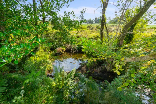 Photo of Rockwood House, Gortnagrough, Ballydehob, Co Cork, P81 KR04