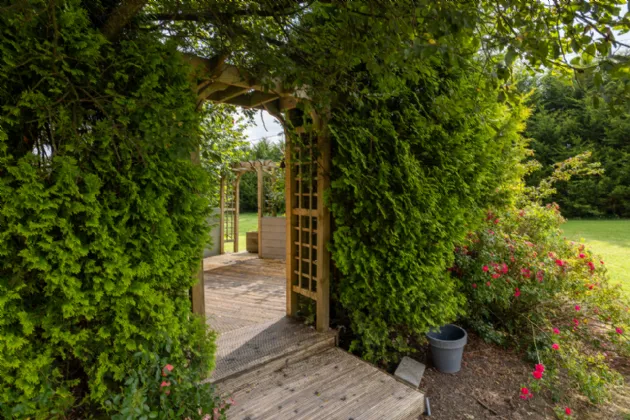 Photo of Clonganny, Ballygarrett, Co. Wexford, Y25X683