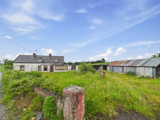 Photo of Derrinvohil, Borrisokane, Co. Tipperary, E45X897