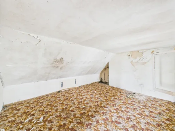 Photo of Derrinvohil, Borrisokane, Co. Tipperary, E45X897