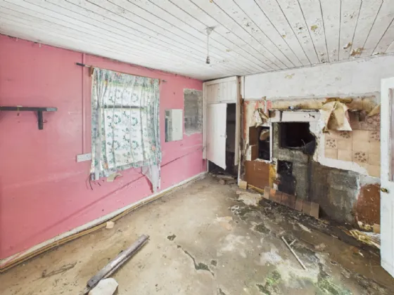 Photo of Derrinvohil, Borrisokane, Co. Tipperary, E45X897