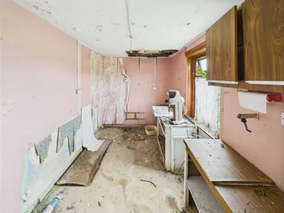 Photo of Derrinvohil, Borrisokane, Co. Tipperary, E45X897