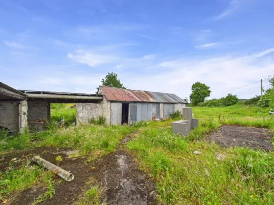 Photo of Derrinvohil, Borrisokane, Co. Tipperary, E45X897