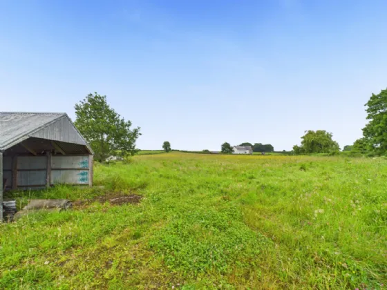 Photo of Derrinvohil, Borrisokane, Co. Tipperary, E45X897