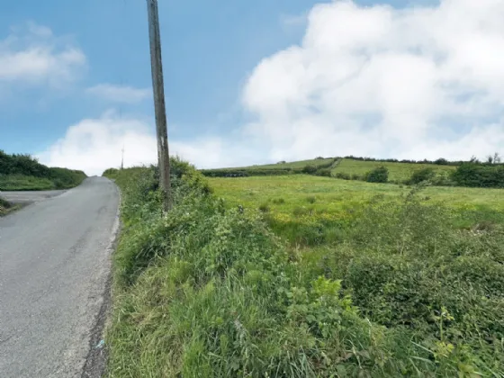 Photo of Site With F.P.P., Corlea, Ballybay, Co. Monaghan