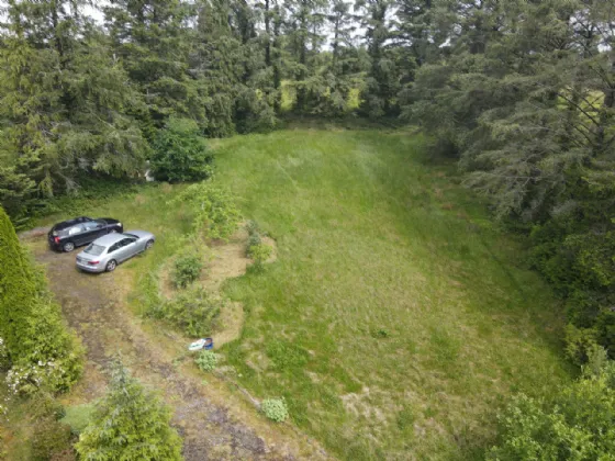 Photo of Shancurry, Drumshanbo, Co. Leitrim, N41 KA43