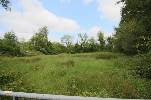 Photo of Shancurry, Drumshanbo, Co. Leitrim, N41 KA43