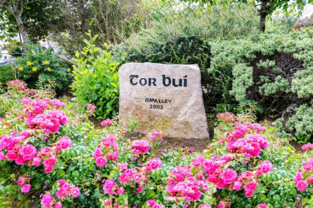 Photo of 8 Tor Bui, Cappagh Road, Knocknacarra, Galway, H91 XEW0