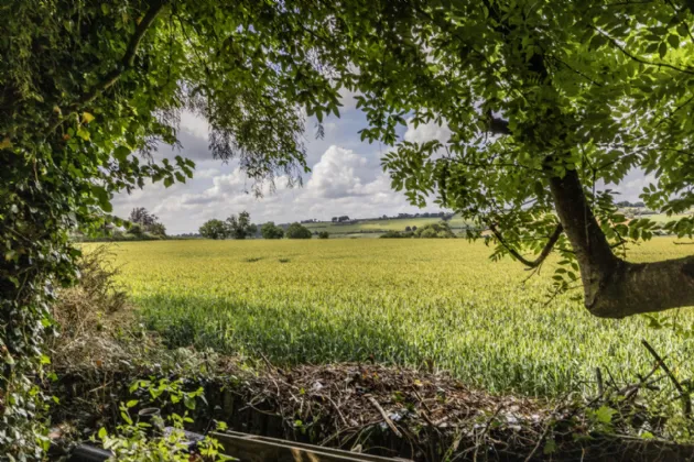 Photo of Newtown, Bellewstown,, Stamullen, Co. Meath, K32TD62