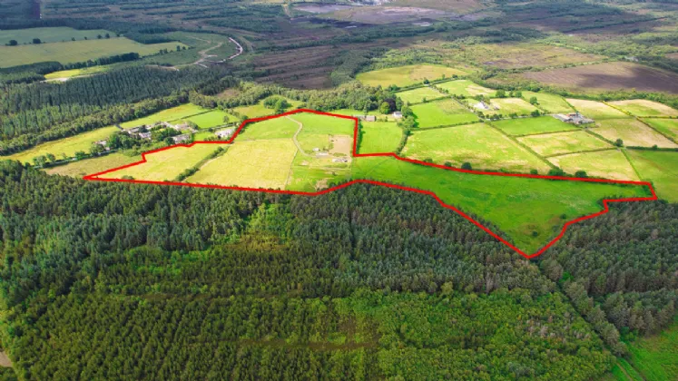 Photo of Blackwood Equestrian Centre, Derrymahon, Timahoe East, Co Kildare, W91 T2T3