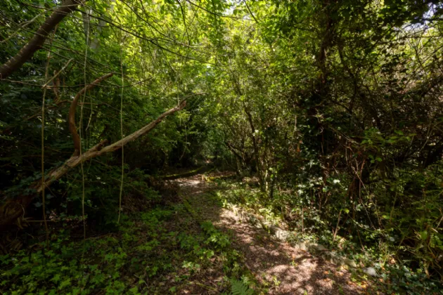 Photo of Ladhru, 49a Ardamine Court, Ardamine, Co. Wexford, Y25NX30