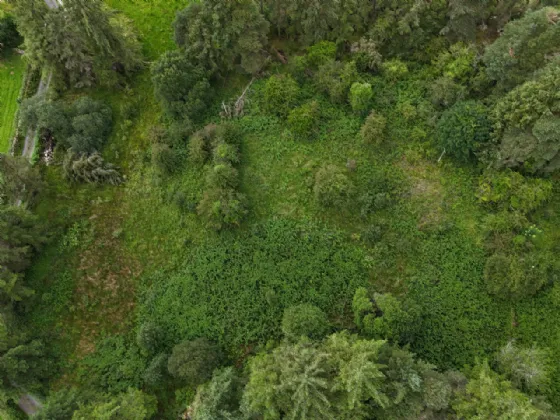 Photo of Toomore, Foxford, Co Mayo