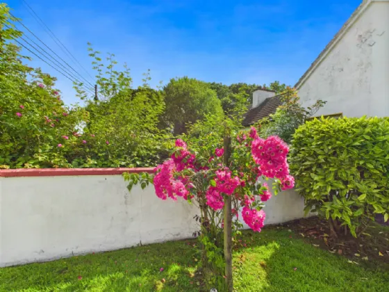 Photo of Lackabaun, Kylebrack, Loughrea, Co. Galway, H62 E209