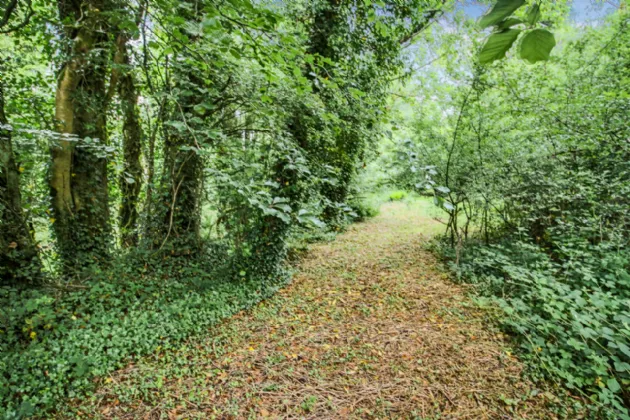 Photo of The Lodge, Granny, Ballinameen,, Boyle,, Co. Roscommon, F52 R822